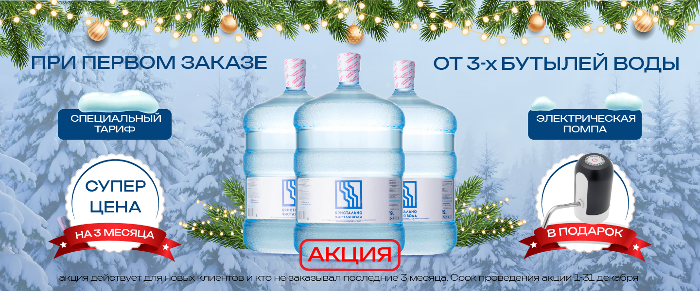 Новый год. спец цена
