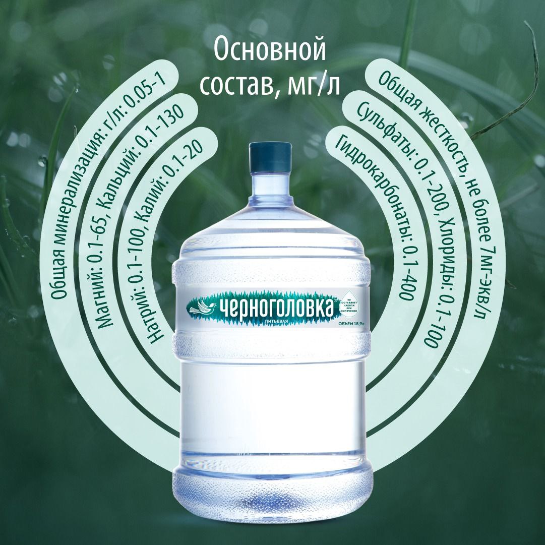 Черноголовка-2