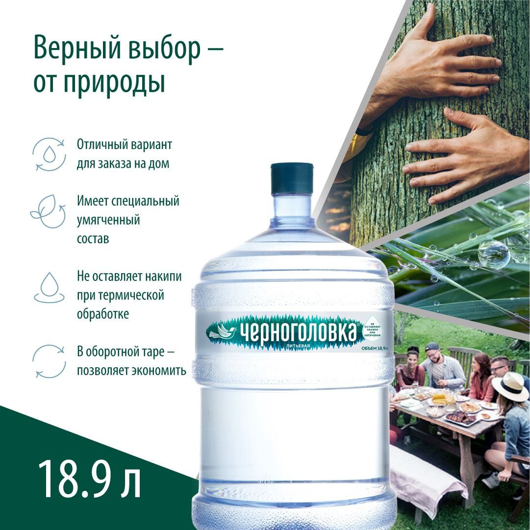 Черноголовка-1